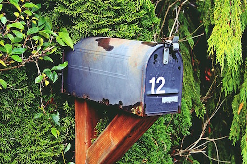 Rusty mailbox surrounded by trees